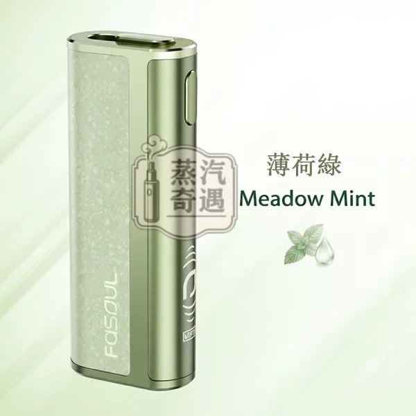 Fasoul C2 二回機 薄荷綠現貨
